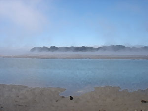 Coastal estuary